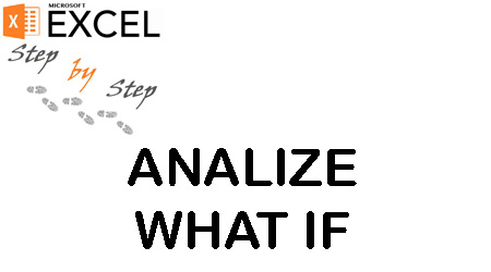 Analize What If in Excel