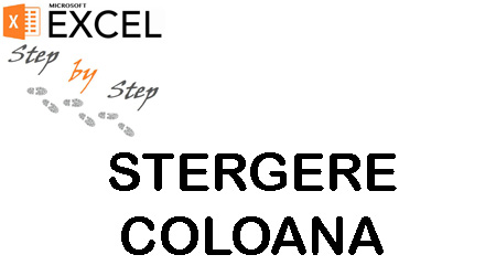 Cum stergem o coloana in Excel