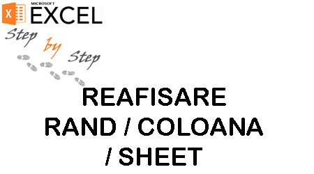 Cum reafisam un rand, o coloana sau un sheet sterse din Excel